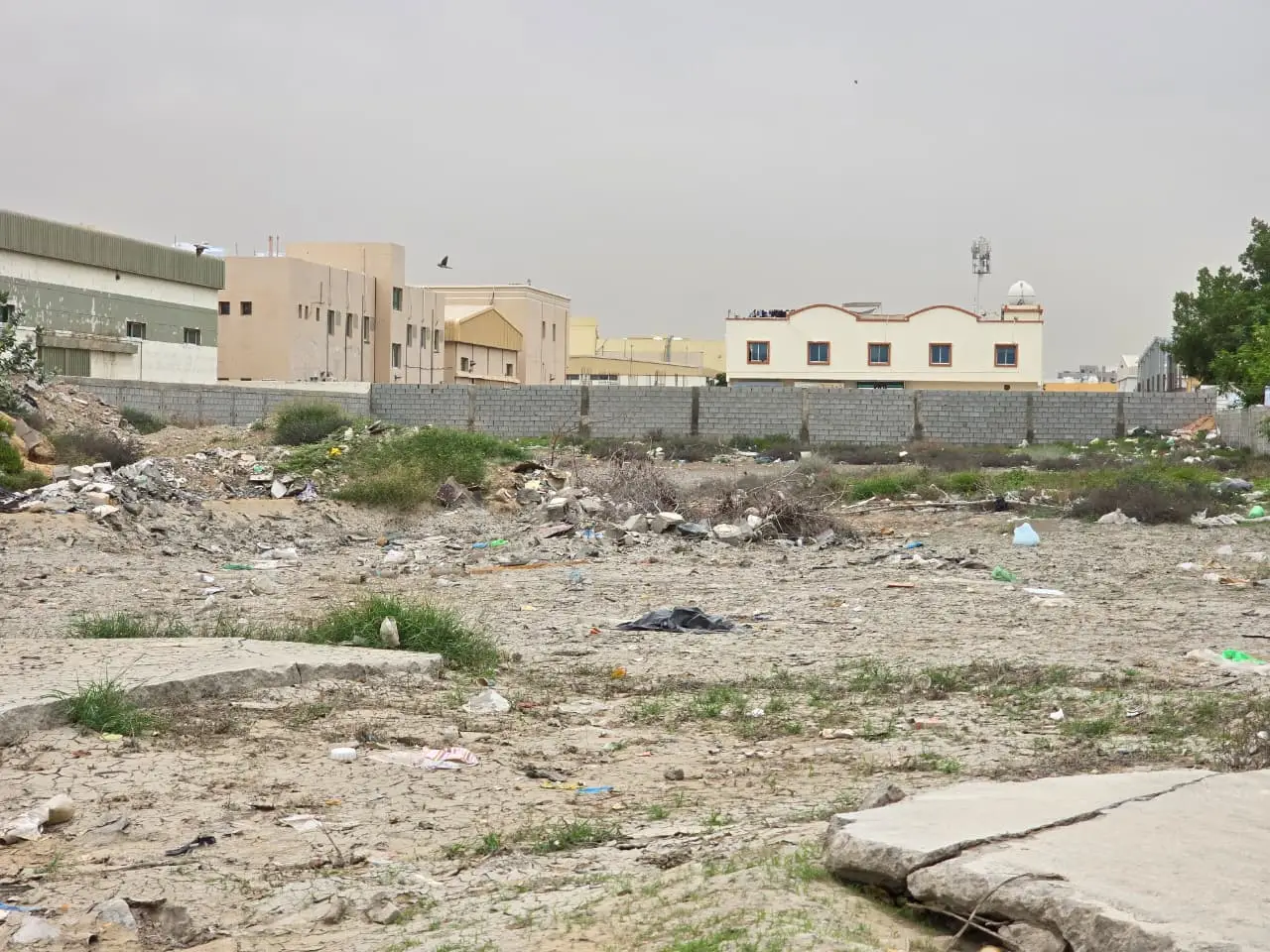 صور ارض الجرف صناعى (8) للبيع ارض بامارة عجمان منطقة الجرف الصناعيه تصريح البناء صناعى